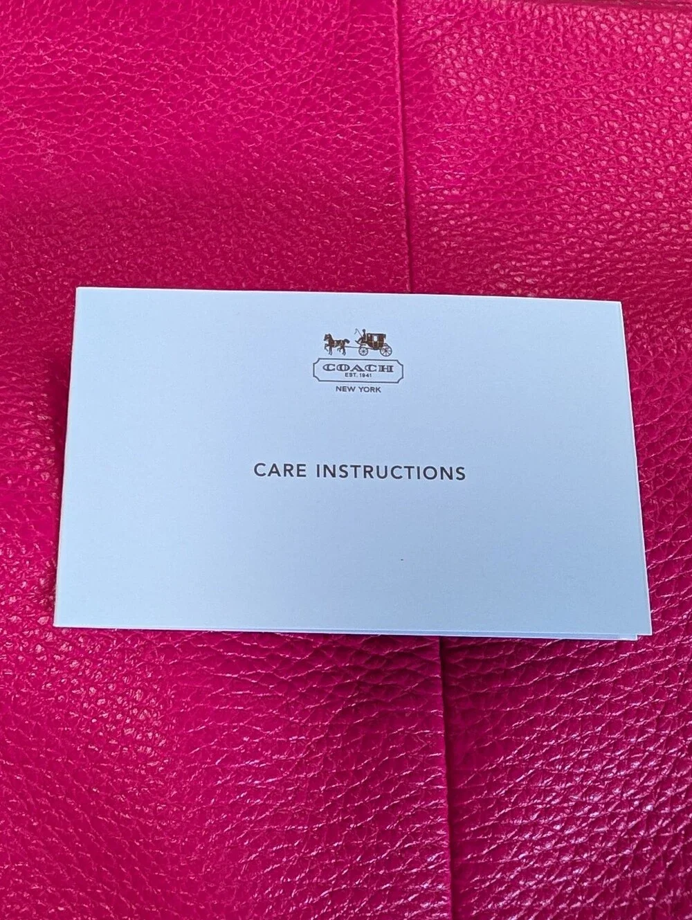 Coach phoebe bag